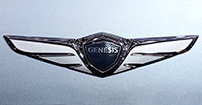 GM Emblem